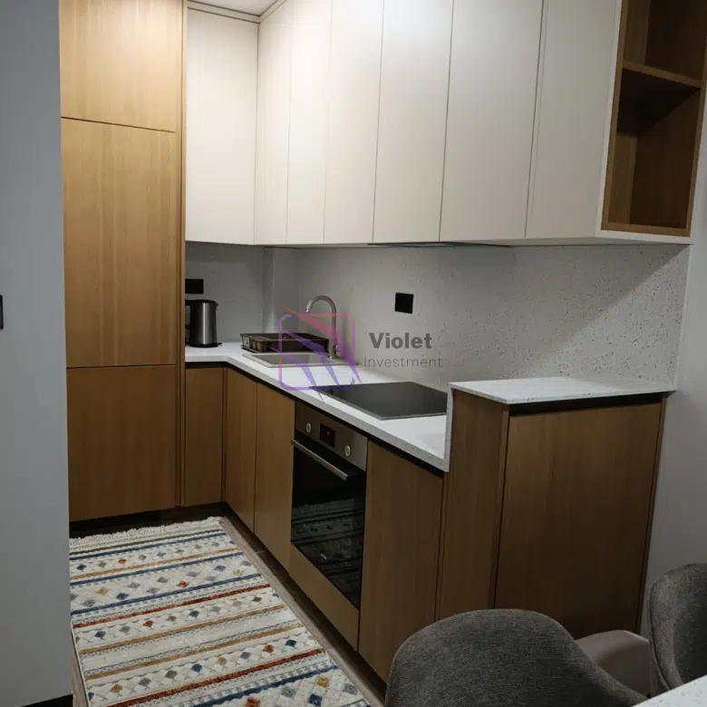 Luxury One-Bedroom Apartment for Rent – Zagorič, Podgorica