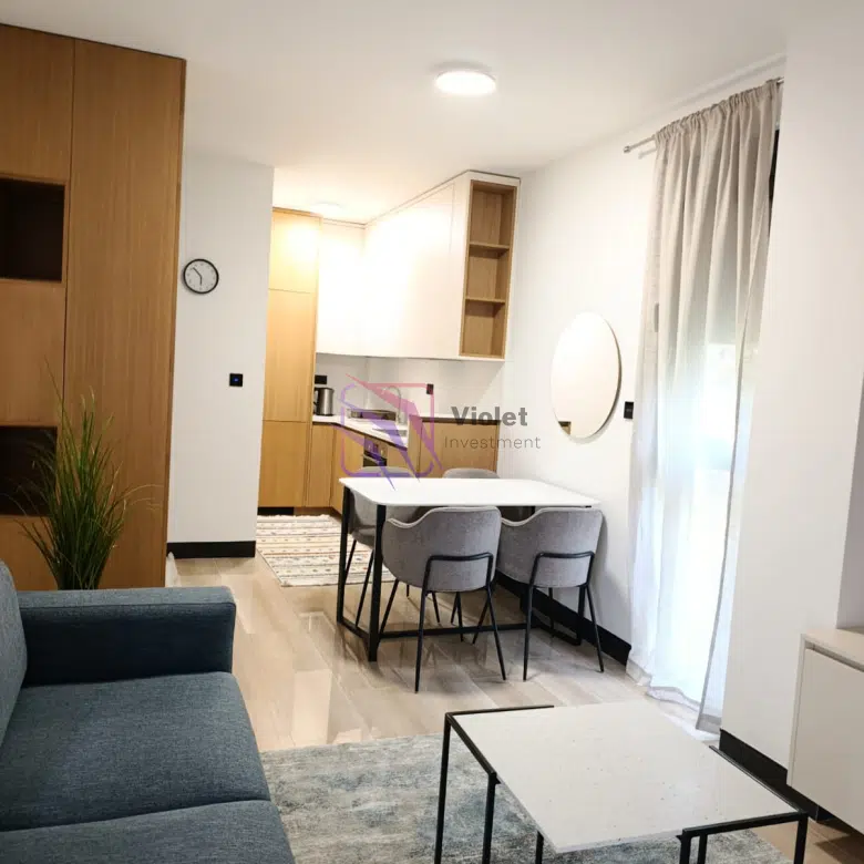Luxury One-Bedroom Apartment for Rent – Zagorič, Podgorica