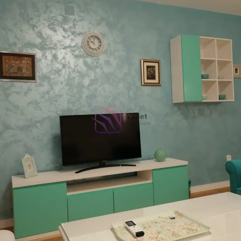 Luxury One-Bedroom Apartment For Rent – Central Point, Podgorica
