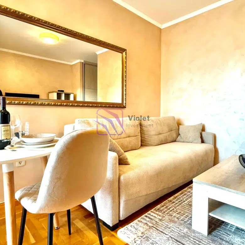 Nicely furnished studio for rent, Tuški Put, Podgorica