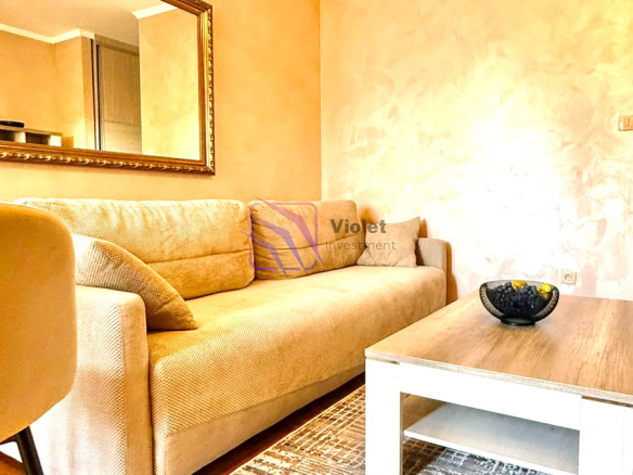 Nicely furnished studio for rent, Tuški Put, Podgorica