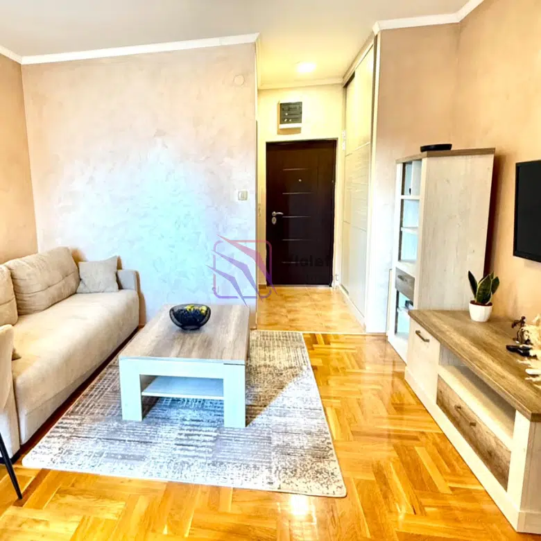 Nicely furnished studio for rent, Tuški Put, Podgorica