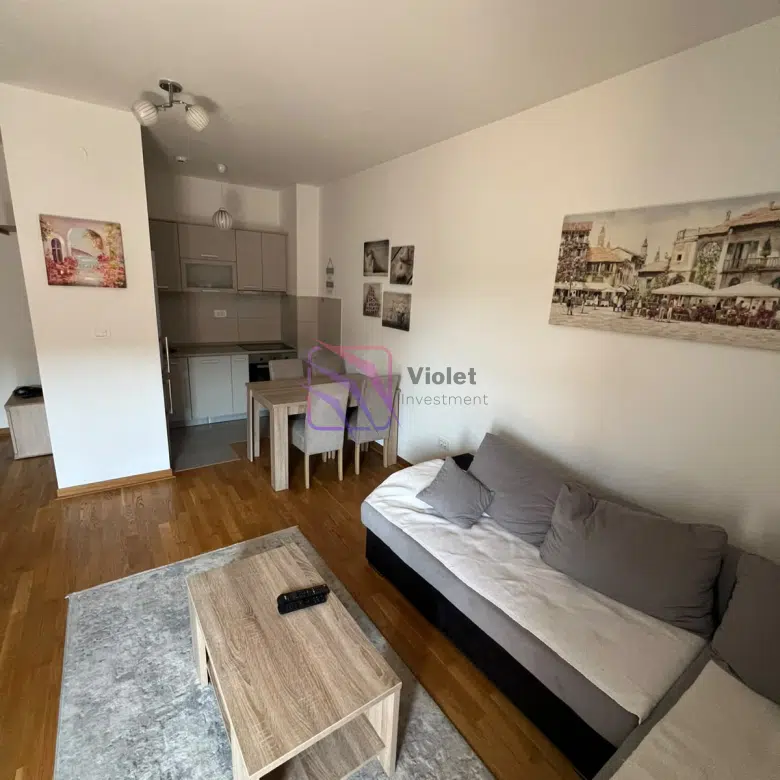 One-Bedroom Apartment for Rent, City Kej, Zagorič, Podgorica