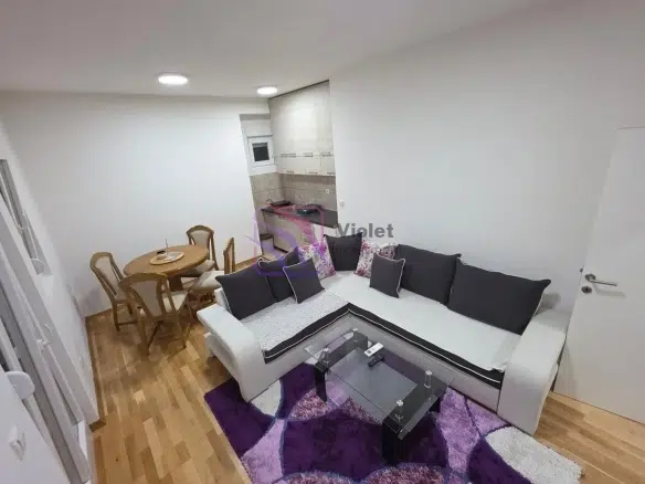 One-Bedroom Apartment for Rent – Zabjelo, Podgorica